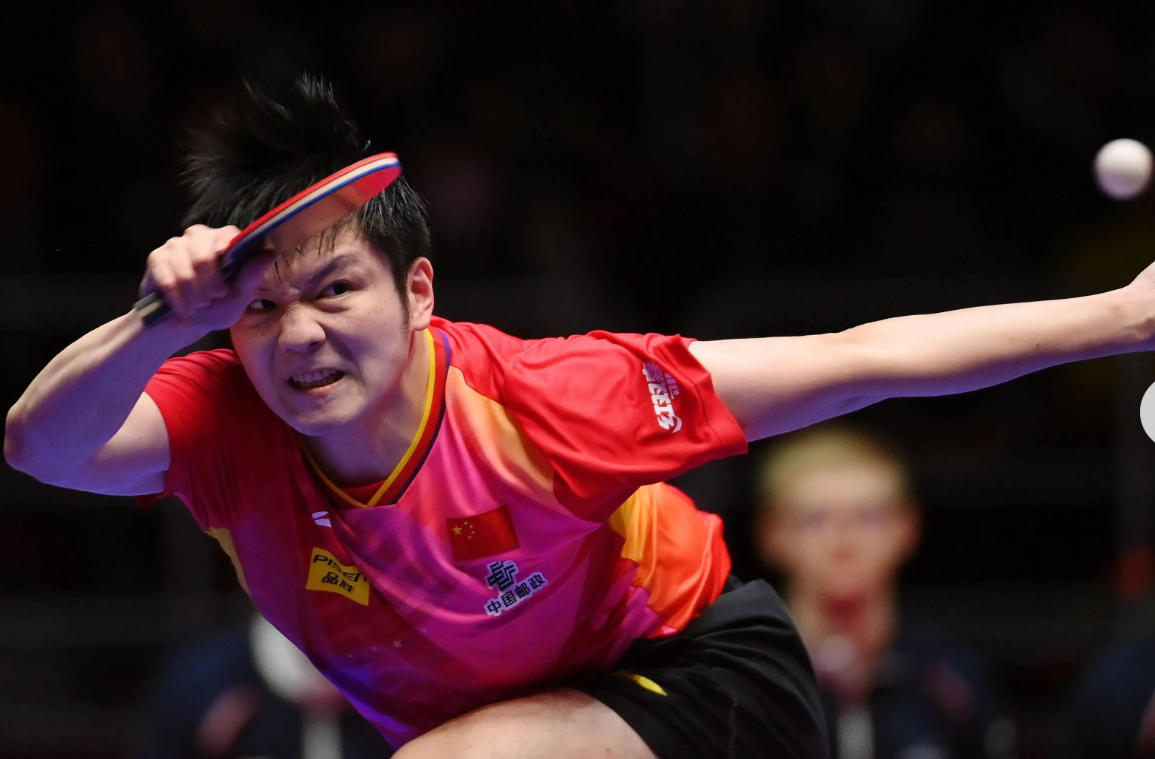 net, 必须是证明, 就樊振东一